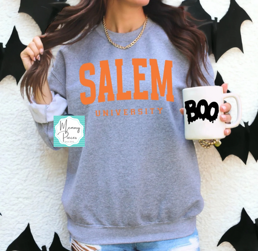 Salem University
